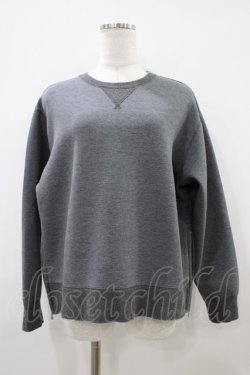 画像1: Jane Marple Dans Le Salon / Double face side zip sweatshirt  グレー H-25-10-09-1056-JM-TO-KB-ZH