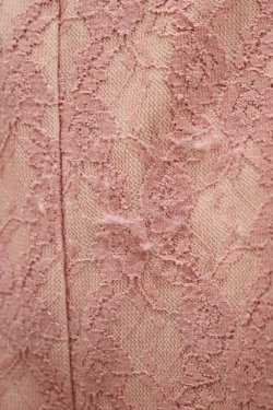 画像4: evelyn / レースショートパンツ Free ピンク H-25-10-10-031-LO-PA-NS-ZH