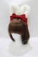 画像5: Angelic Pretty / Lovely BunnyジャンパースカートSET Free ワイン H-25-10-10-092-AP-OP-NS-ZH (5)