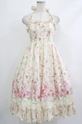 Victorian maiden / ローズガーデンロングドレス Free afternoon rose H-25-10-10-016-CL-OP-NS-ZH