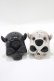 画像1: KILL STAR / Ashmedai Salt&Pepper Shaker   H-25-10-13-1062-SL-ZA-KB-ZH (1)