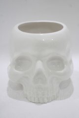 KILL STAR / CRANIUM PLANTER  ホワイト H-25-10-13-1071-SL-ZA-KB-ZT-W005