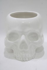 KILL STAR / CRANIUM PLANTER  ホワイト H-25-10-13-1072-SL-ZA-KB-ZT-W005