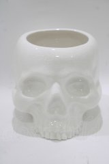 KILL STAR / CRANIUM PLANTER  ホワイト H-25-10-13-1073-SL-ZA-KB-ZT-W005