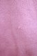 画像4: MILK / Pink sweater  ピンク H-25-10-16-1063-ML-TO-KB-ZH (4)