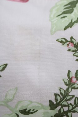 画像5: MILK / CHERRY gardenドレス  ベビーピンクベース H-25-10-16-1013-ML-OP-KB-ZH