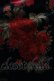 画像4: BPN / 薔薇プリント別珍スカート M 黒 H-25-10-16-1022-GO-SK-KB-ZH (4)