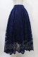 画像1: axes femme / レースサーキュラースカート M ブルー H-25-10-18-1038-AX-SK-NS-ZH (1)