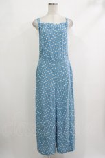 画像1: 【SALE】Jane Marple Dans Le Salon / Lily of the valleyサロペットパンツ M ブルーグレー H-25-10-22-1042-JM-PA-KB-ZT099 (1)