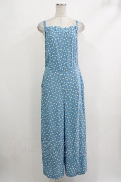 画像1: Jane Marple Dans Le Salon / Lily of the valleyサロペットパンツ M ブルーグレー H-25-10-22-1042-JM-PA-KB-ZH