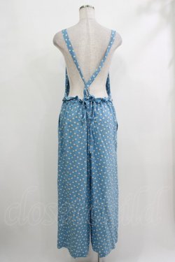 画像3: Jane Marple Dans Le Salon / Lily of the valleyサロペットパンツ M ブルーグレー H-25-10-22-1042-JM-PA-KB-ZH