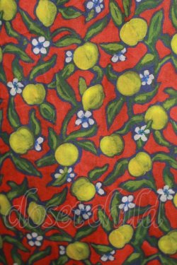 画像4: Jane Marple Dans Le Salon / Lemon groveのワンピース Free レッド H-25-10-28-022-JM-OP-KB-ZH