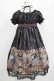 画像3: ALICE and the PIRATES / Victorian tear bottle柄ワンピース Free ブラック H-25-11-01-013-PA-OP-NS-ZH (3)