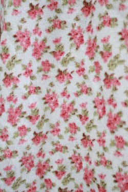 画像4: LIZ LISA / 花柄トップス Free サックス H-25-11-02-1048-LO-TO-NS-ZH