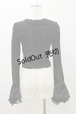 画像2: DARK IN LOVE / Gothic luxe lace see-through belly sexy top M ブラック H-25-11-04-066-PU-TO-KB-ZH