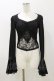画像1: DARK IN LOVE / Gothic luxe lace see-through belly sexy top M ブラック H-25-11-04-067-PU-TO-KB-ZH (1)