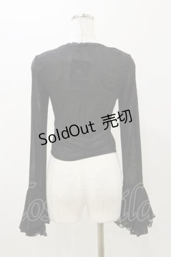 画像2: DARK IN LOVE / Gothic luxe lace see-through belly sexy top M ブラック H-25-11-04-068-PU-TO-KB-ZH