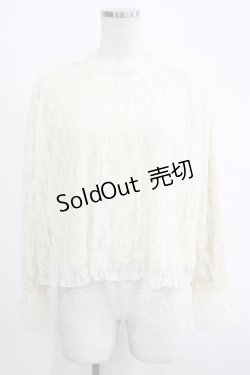 画像1: an another angelus / チュールレースブラウス Free IVORY H-25-11-06-057-CA-TO-NS-ZH