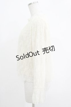 画像2: an another angelus / チュールレースブラウス Free IVORY H-25-11-06-057-CA-TO-NS-ZH