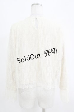 画像3: an another angelus / チュールレースブラウス Free IVORY H-25-11-06-057-CA-TO-NS-ZH