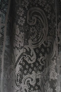 画像4: axes femme / グラデレースサーキュラースカート Free ブラック H-25-11-11-036-AX-SK-NS-ZH