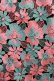 画像4: Jane Marple Dans Le Salon / Flower embroideryタブリエドレス  Sky blue×Pink H-25-11-12-014-JM-OP-KB-ZH (4)
