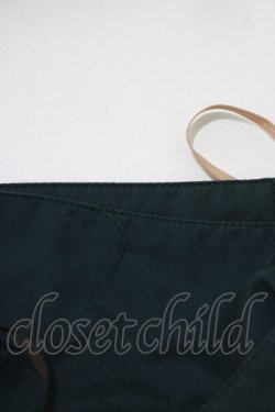 画像5: Blue rouge / レースアップスカート Free グリーン H-25-11-13-1025-CA-OP-NS-ZH