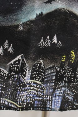 画像4: MILK / Fullfyスカート  Aurora city H-25-11-14-1013-ML-SK-KB-ZH