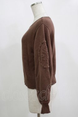 画像2: F&A / 袖ローズ刺繍ニットプルオーバー Free Brown H-25-11-15-1055-LO-TO-NS-ZH