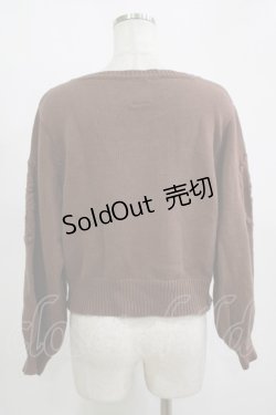 画像3: F&A / 袖ローズ刺繍ニットプルオーバー Free Brown H-25-11-15-1055-LO-TO-NS-ZH
