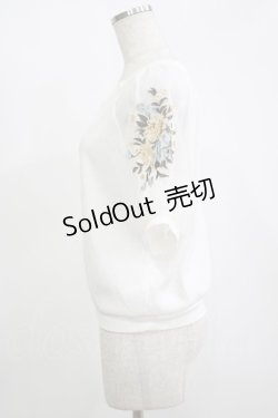 画像2: axes femme / 花刺繍×チュール袖プルオーバー M オフ H-25-11-15-1063-AX-TO-NS-ZH