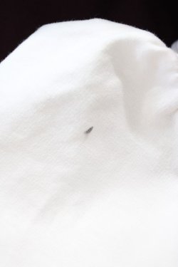 画像3: Amavel / セーラーAラインワンピース Free ブラウン H-25-11-16-1037-CA-OP-NS-ZH