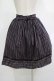 画像3: Victorian maiden / レジメンタルストライプスカート Free ノクテュルヌ H-25-11-19-017-CL-SK-NS-ZH (3)