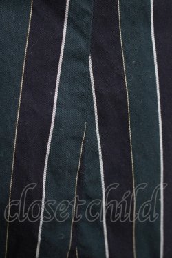画像6: ATELIER PIERROT / レジメンタルストライプコルセットスカート  グリーン H-25-11-20-003-EL-SK-KB-ZH
