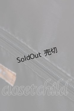 画像4: Fi.n.t / ダブルベルトサッチェルバッグ  ブラウン H-25-11-20-1031-CA-BG-NS-ZH