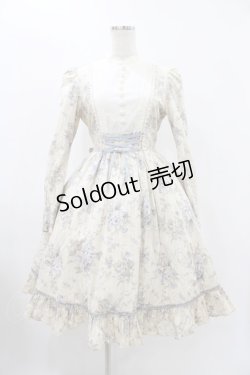 画像1: Victorian maiden / ローズグリーティングウェストレースアップドレス Free バニラ H-25-11-27-027-CL-OP-NS-ZH