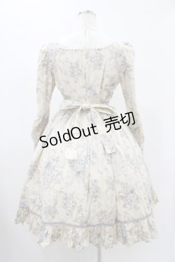 画像2: Victorian maiden / ローズグリーティングウェストレースアップドレス Free バニラ H-25-11-27-027-CL-OP-NS-ZH