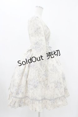 画像3: Victorian maiden / ローズグリーティングウェストレースアップドレス Free バニラ H-25-11-27-027-CL-OP-NS-ZH