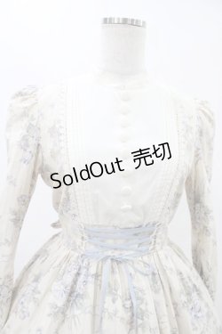 画像4: Victorian maiden / ローズグリーティングウェストレースアップドレス Free バニラ H-25-11-27-027-CL-OP-NS-ZH