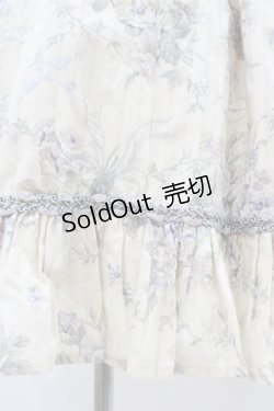 画像5: Victorian maiden / ローズグリーティングウェストレースアップドレス Free バニラ H-25-11-27-027-CL-OP-NS-ZH