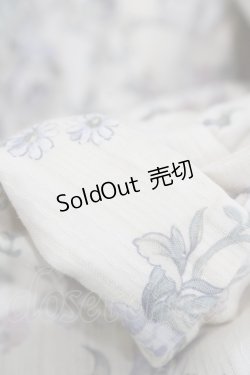 画像7: Victorian maiden / ローズグリーティングウェストレースアップドレス Free バニラ H-25-11-27-027-CL-OP-NS-ZH