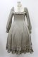 画像1: Victorian maiden / クラシカルドールロングドレス Free グリーン H-25-11-27-028-CL-OP-NS-ZH (1)