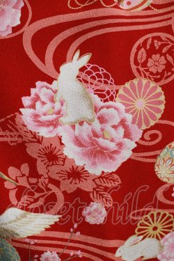 画像5: metamorphose / 花鳥風月〜乙女のはなごろも〜プリーツジャンパースカート(草柄リボン) Free 赤紅(Red) H-25-11-29-003-ME-OP-NS-ZH