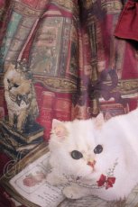 画像4: Enchantlic Enchantilly / Queen Cat〜秘密の書斎〜ワンピース Free ワイン H-25-12-01-1005-LO-OP-NS-ZH (4)