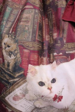 画像4: Enchantlic Enchantilly / Queen Cat〜秘密の書斎〜ワンピース Free ワイン H-25-12-01-1005-LO-OP-NS-ZH