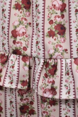 画像3: axes femme kawaii / ストライプローズ柄スカート M 生成り H-25-12-01-1019-AX-SK-NS-ZH