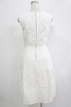 画像3: Jane Marple Dans Le Salon / コットンレースドレス M ホワイト H-25-12-03-044-JM-OP-KB-ZH