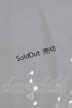 画像5: Jane Marple / ドット刺繍スカート  黒 H-25-12-03-045-JM-SK-KB-ZH