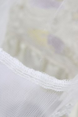 画像3: Amavel / Sleeping Sheepチュールレイヤードスカート Free  H-25-12-05-1042-CA-SK-NS-ZH