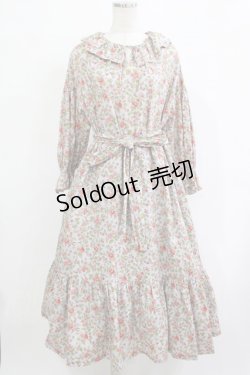画像1: 【SALE】Jane Marple / Rambling roseフレアドレス  シルバーグレー H-25-12-07-006-JM-OP-KB-ZT451